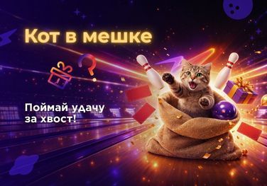 Кот в мешке